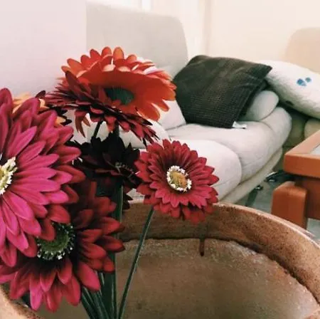 Spacious Modern Two-bedroon In Elit 1 Complex Hotel apartamentowy