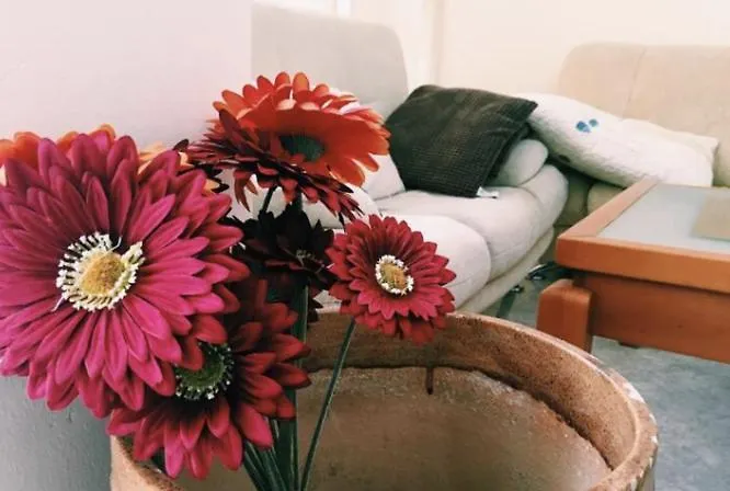 Spacious Modern Two-bedroon In Elit 1 Complex Apart Otel